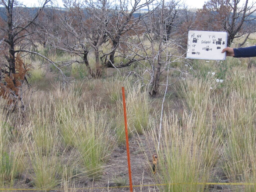 PJ_MC_CP_FI_31_T15_30M_9 2009: 3 years post-treatment