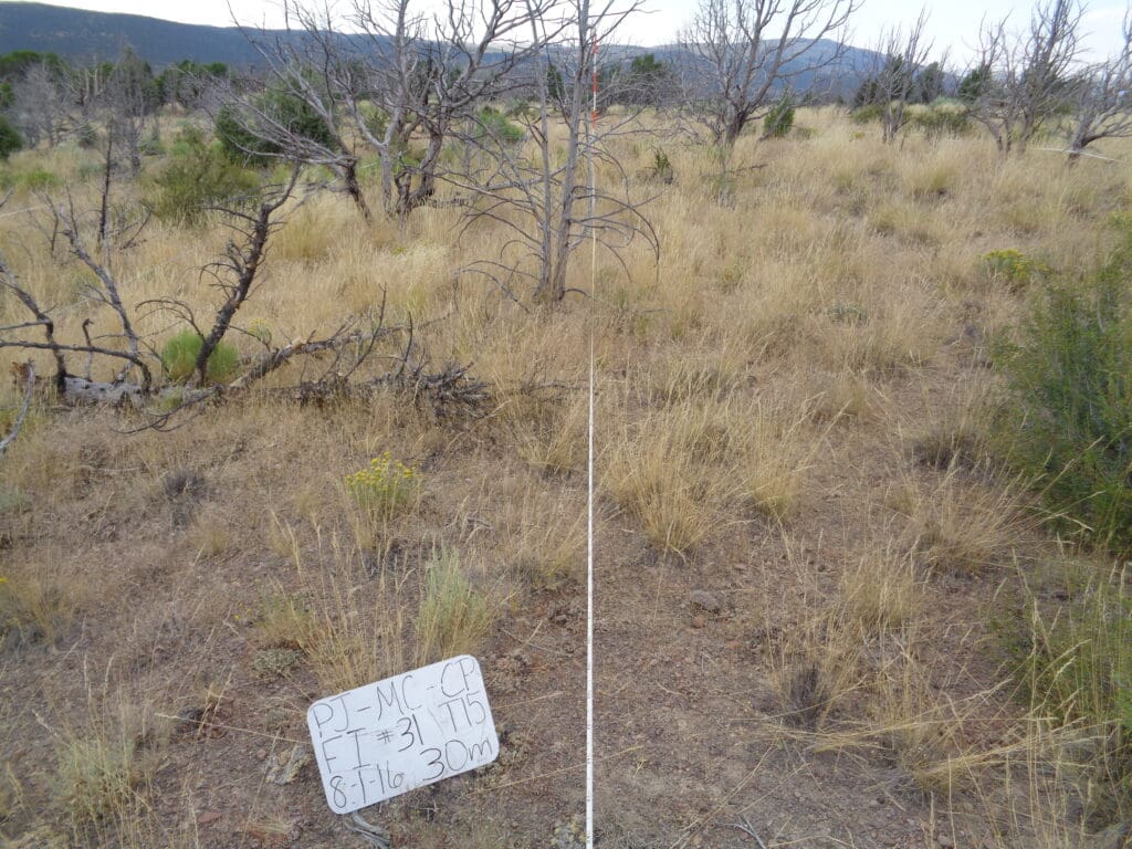 PJ_MC_CP_FI_31_T15_30m_16 2016: 10 years post-treatment