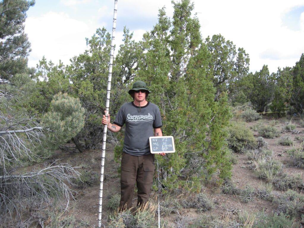 PJ_MC_CP_Fi_31_30_06 2006: Pre-treatment