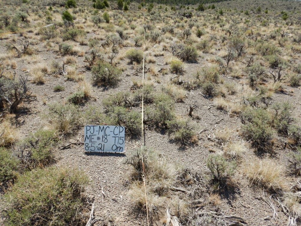 PJ_MC_CP_ME_18_0M_2021 2021: 15 years post-treatment