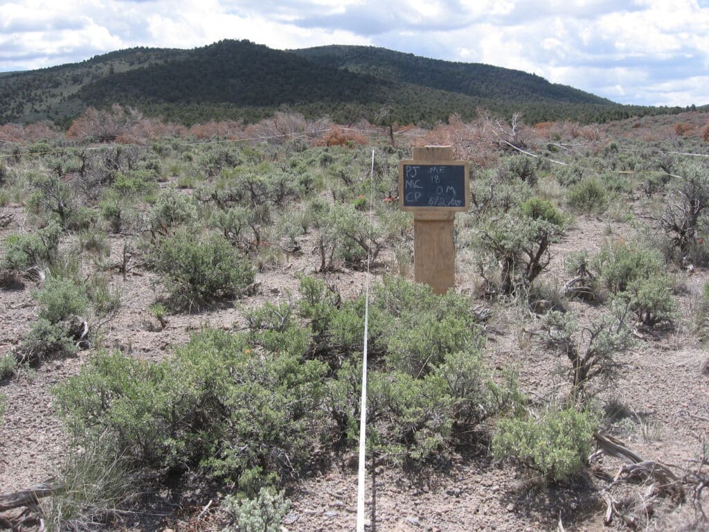 PJ_MC_CP_ME_18_T15_0M_08 2008: 2 years post-treatment