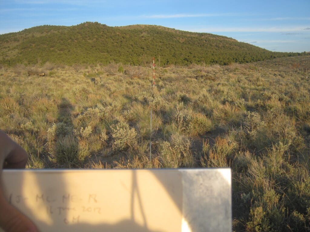 PJ_MC_CP_ME_18_T15_0M_12 2012: 6 years post-treatment