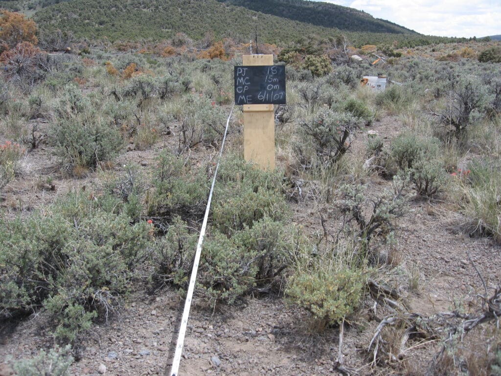 PJ_MC_CP_ME_18_T15_0M_7 2007: 1 year post-treatment