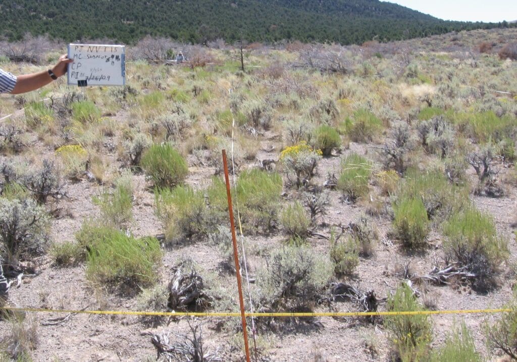 PJ_MC_CP_ME_18_T15_0M_9 2009: 3 years post-treatment