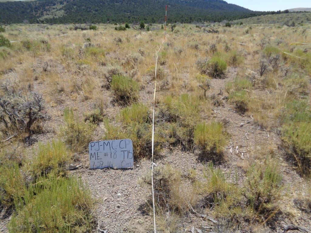 PJ_MC_CP_ME_18_T15_0m_16 2016: 10 years post-treatment