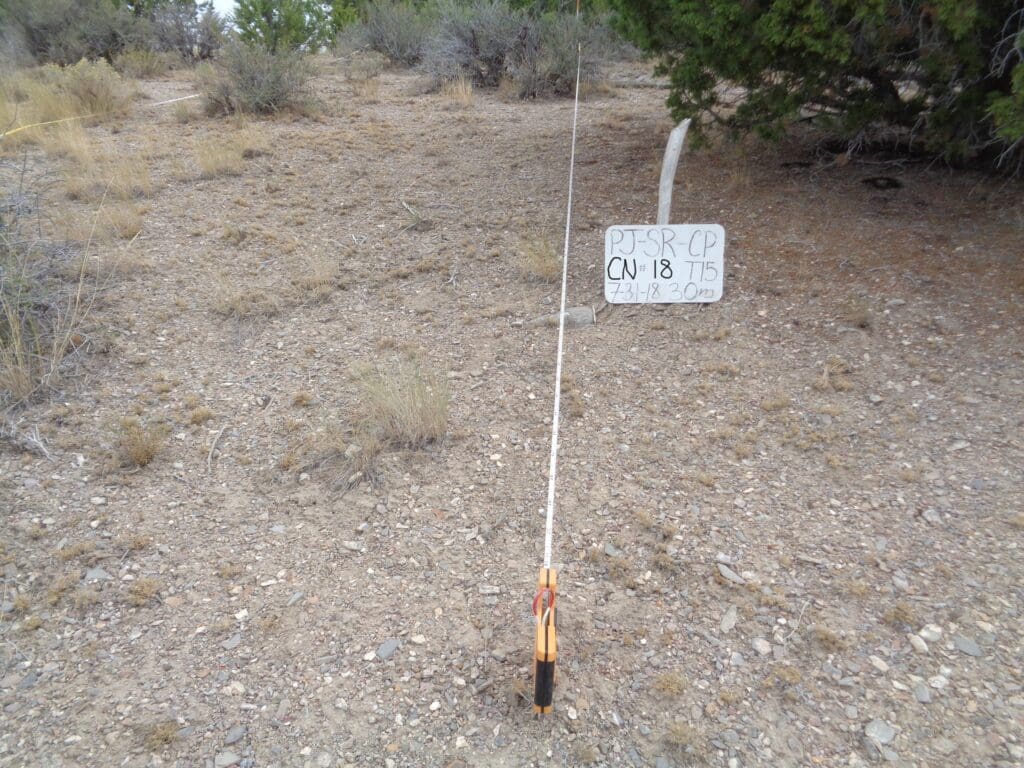 PJ_SR_CP_CN_18_T15_30m_18 2018: 9 years post-treatment