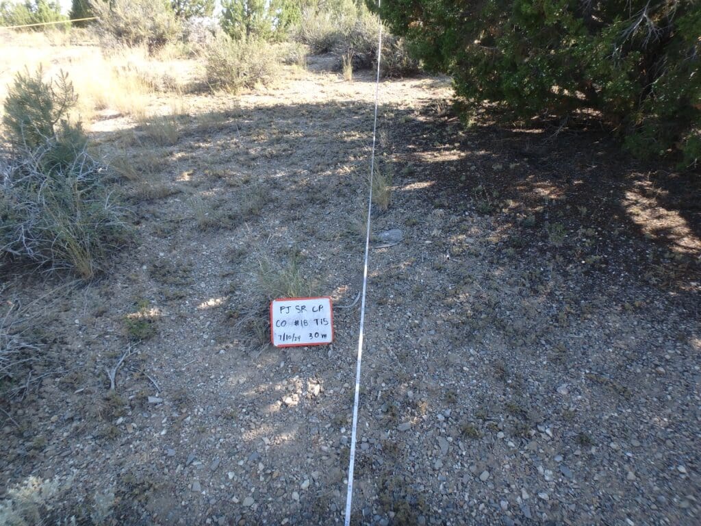 PJ_SR_CP_CO_18_T15_30M_24 2024: 16 years post-treatment