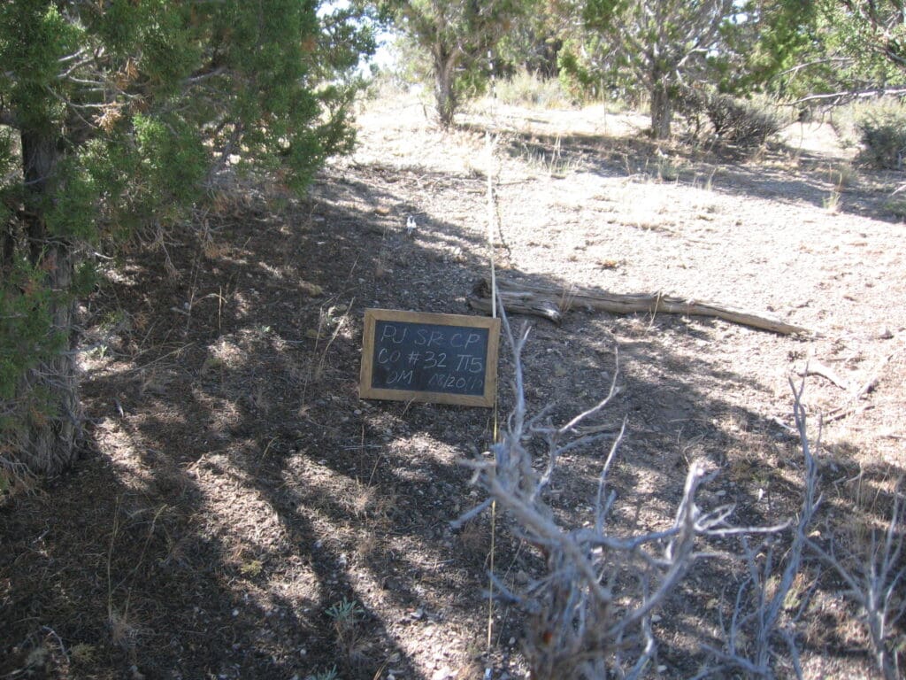 PJ_SR_CP_CO_32_T15_0M_10 2010: 1 year post-treatment