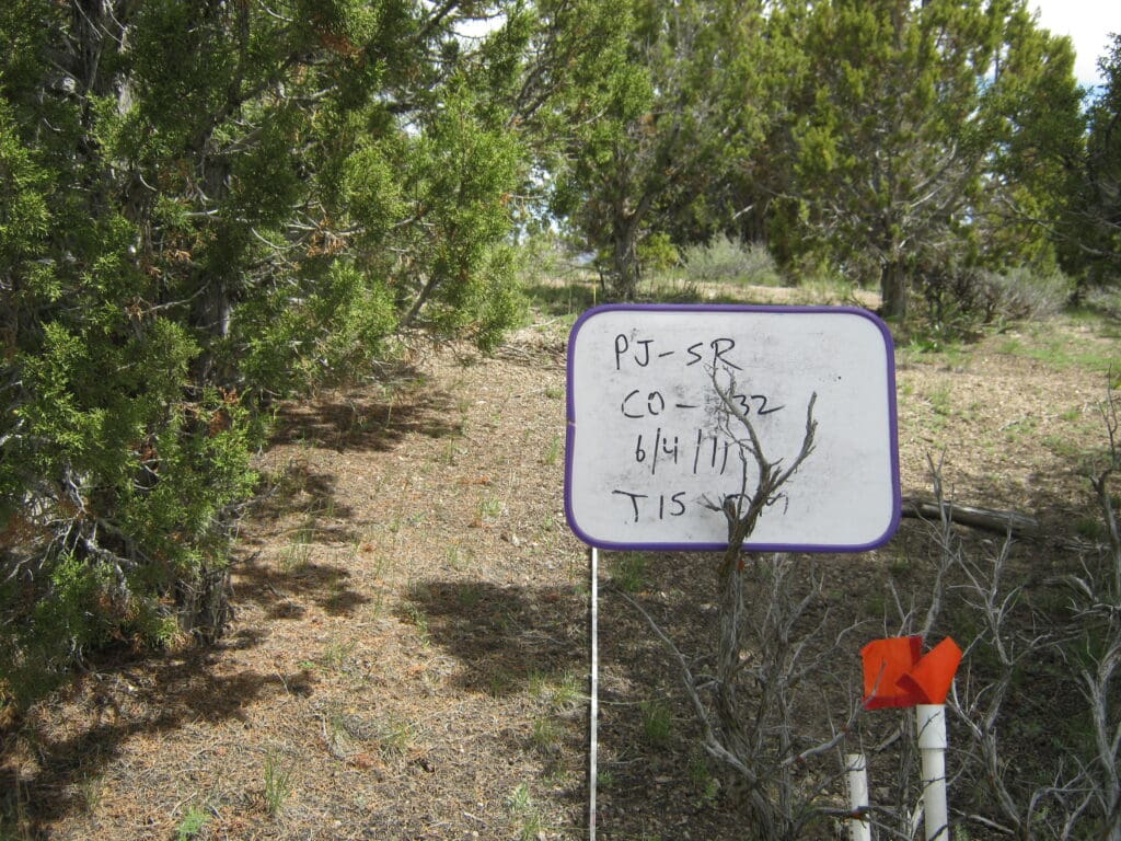 PJ_SR_CP_CO_32_T15_0M_11 2011: 2 years post-treatment