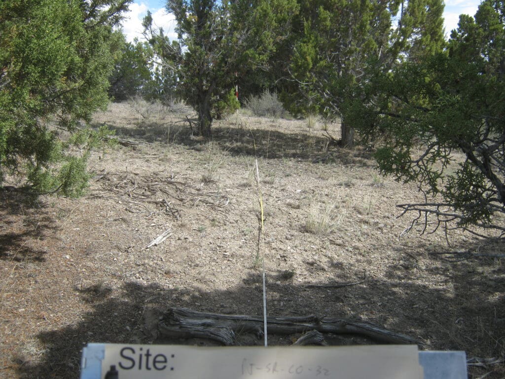 PJ_SR_CP_CO_32_T15_0M_12 2012: 3 years post-treatment