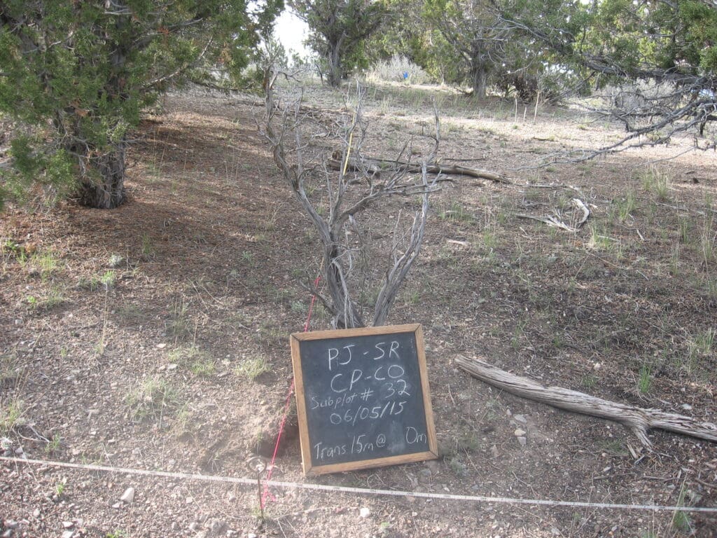 PJ_SR_CP_CO_32_T15_0M_2015 2015: 6 years post-treatment