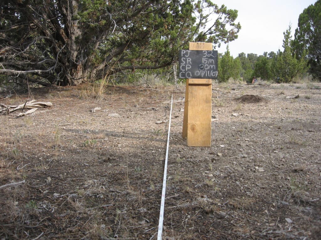 PJ_SR_CP_CO_32_T15_30M_07 2007: Pre-treatment