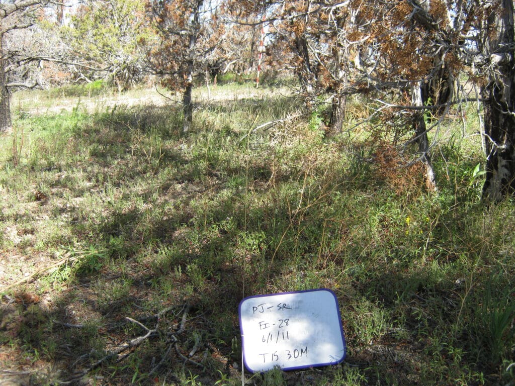 PJ_SR_CP_FI_28_T15_30M_11 2011: 2 years post-treatment