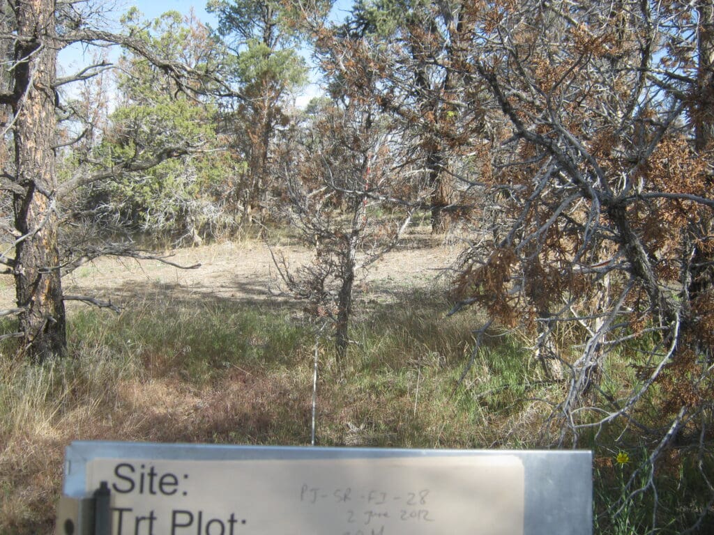 PJ_SR_CP_FI_28_T15_30M_12 2012: 3 years post-treatment