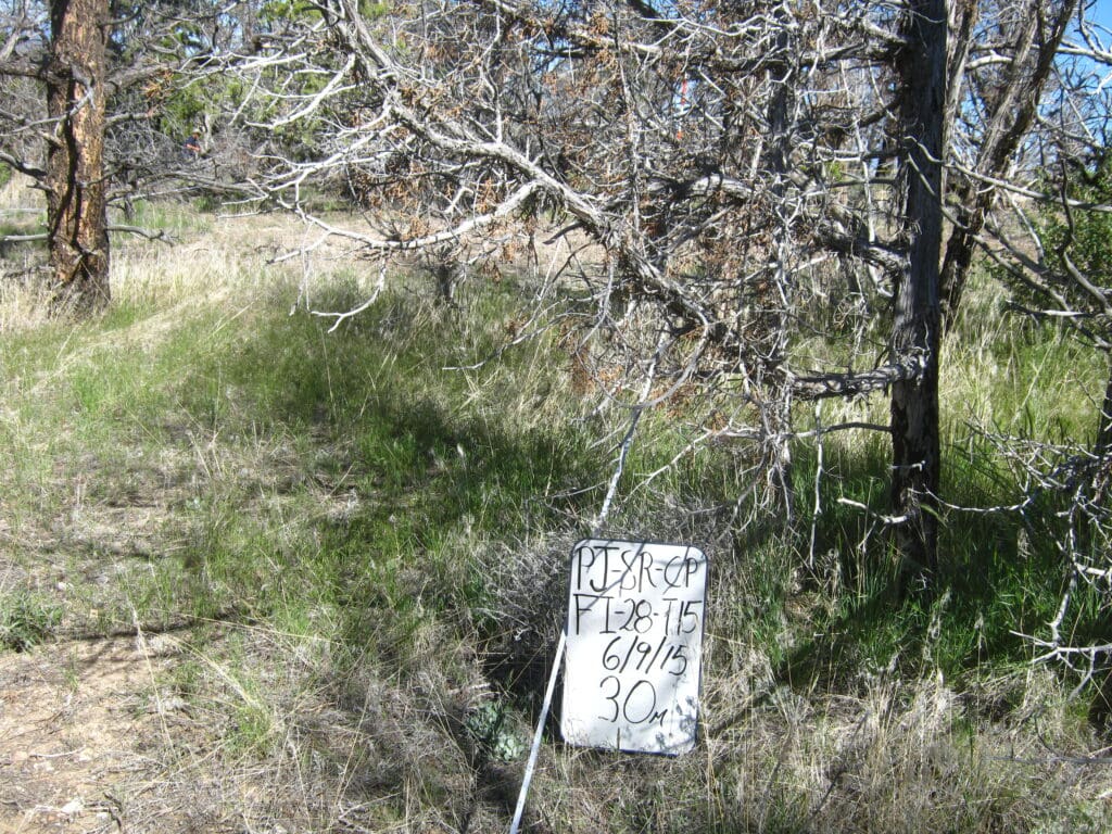 PJ_SR_CP_FI_28_T15_30M_2015 2015: 6 years post-treatment