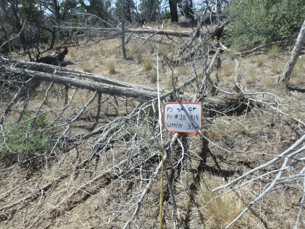 PJ_SR_CP_FI_28_T15_30M_24 2024: 16 years post-treatment