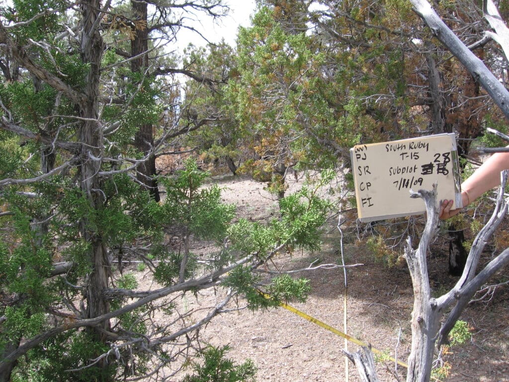 PJ_SR_CP_FI_28_T15_30M_9 2009: Pre-treatment