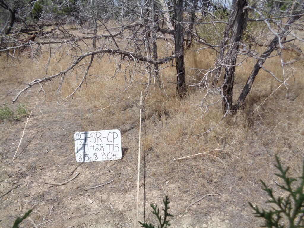 PJ_SR_CP_FI_28_T15_30m_18 2018: 9 years post-treatment