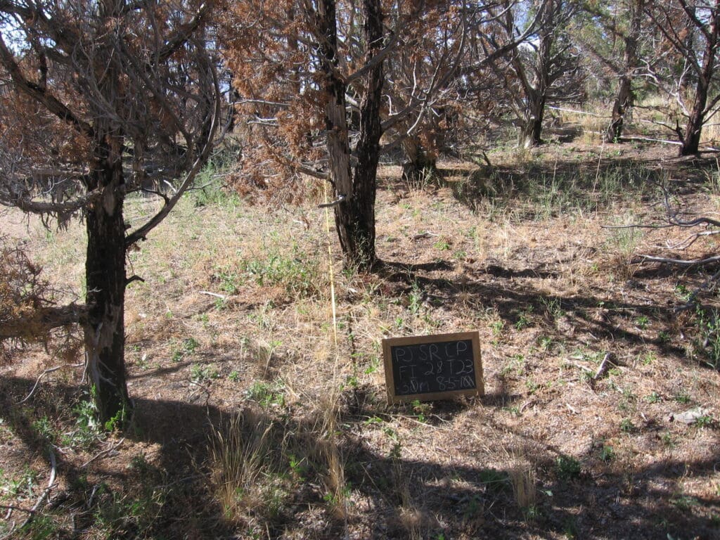 PJ_SR_CP_FI_28_T23_30M_10 2010: 1 year post-treatment