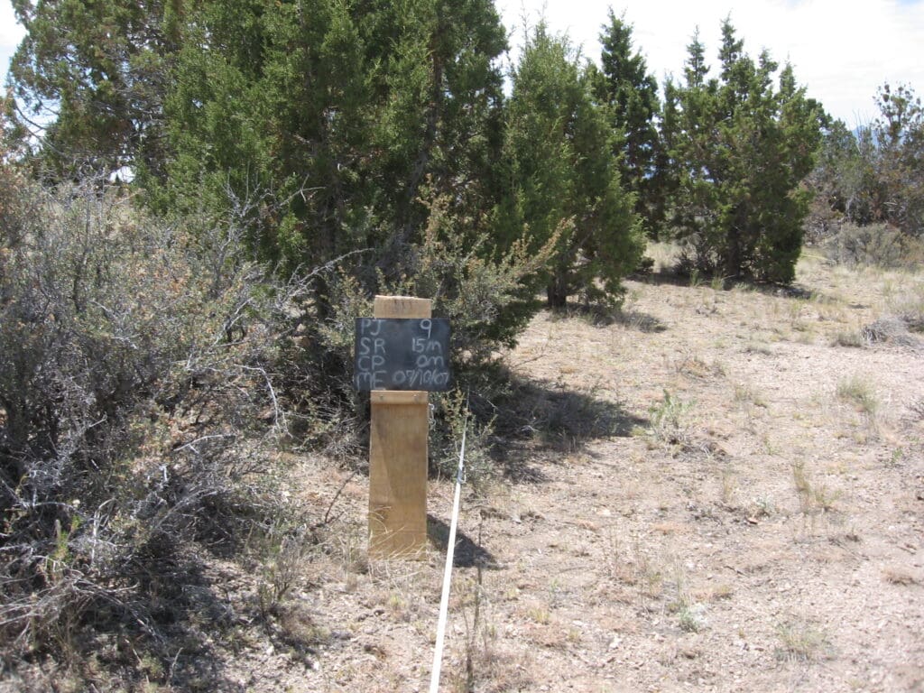 PJ_SR_CP_ME_09_T15_0M_07 2007: Pre-treatment