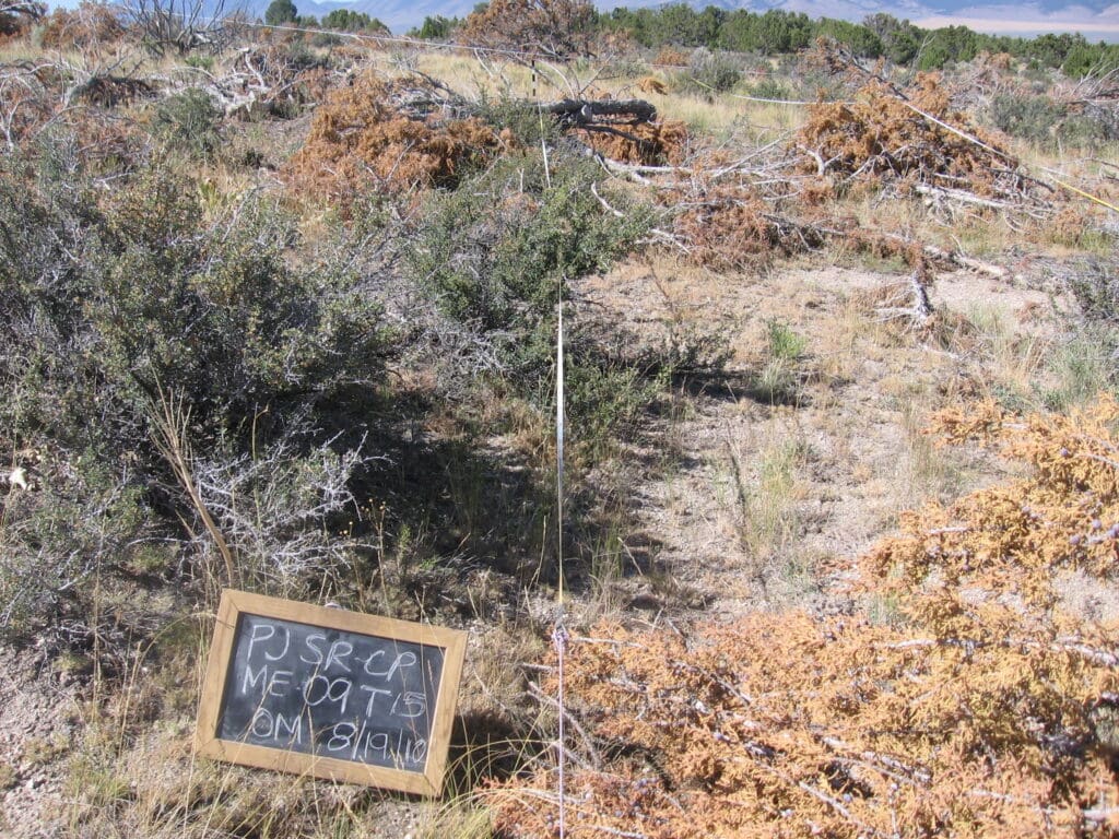 PJ_SR_CP_ME_09_T15_0M_10 2010: 1 year post-treatment