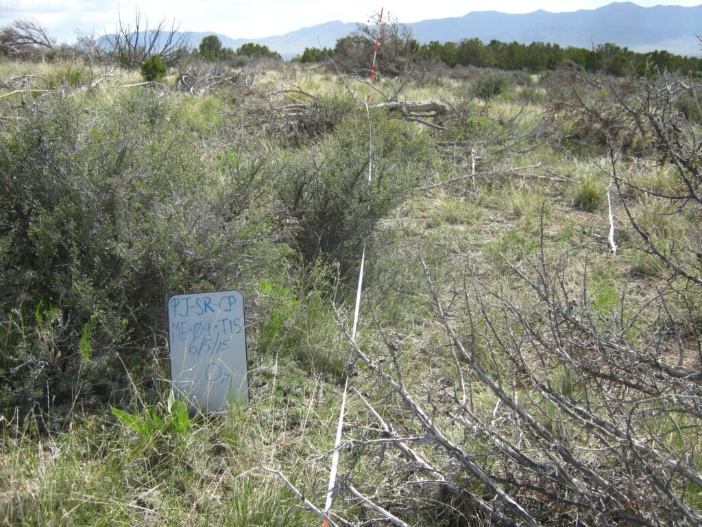 PJ_SR_CP_ME_09_T15_0M_2015 2015: 6 years post-treatment