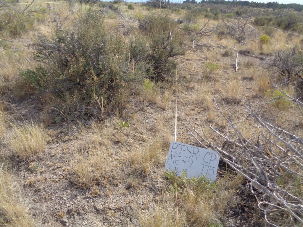 PJ_SR_CP_ME_09_T15_0m_18 2018: 9 years post-treatment