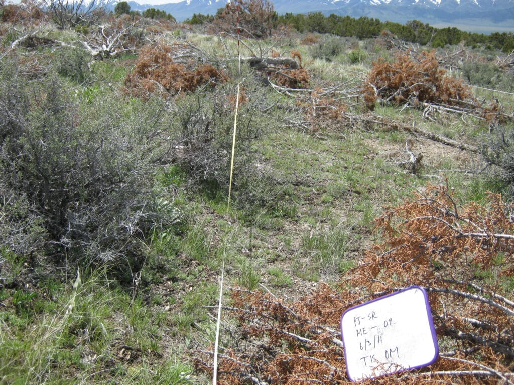 PJ_SR_CP_ME_9_T15_0M_11 2011: 2 years post-treatment