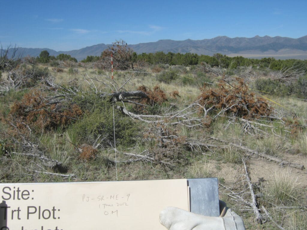 PJ_SR_CP_ME_9_T15_0M_12 2012: 3 years post-treatment