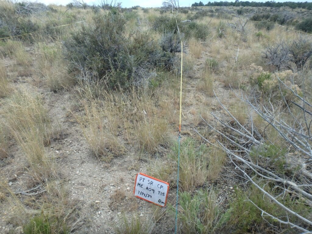 PJ_SR_CP_ME_9_T15_0M_24 2024: 16 years post-treatment