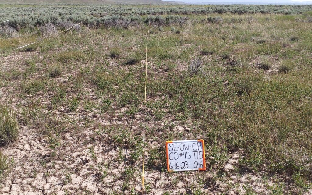 2023: 15 years post-treatment <br />
5 years post-wildfire