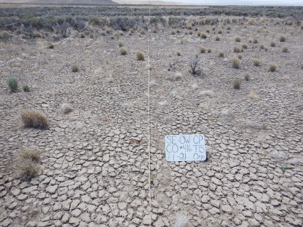 2021: 13 years post-treatment <br />
3 years post-wildfire