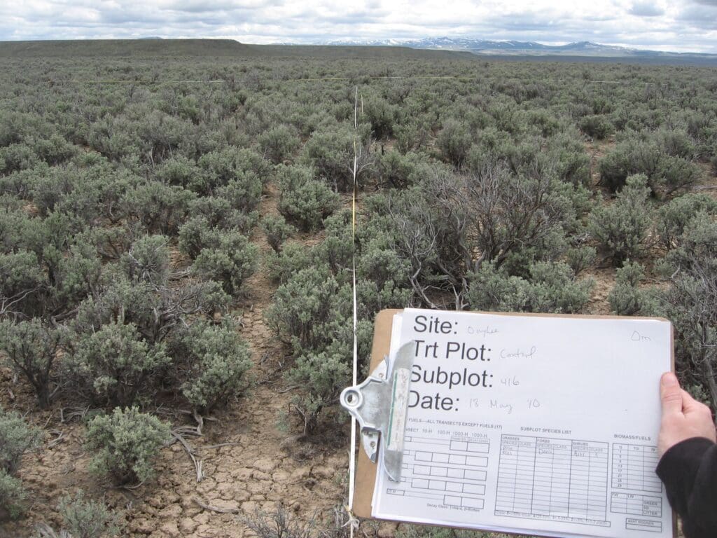 2010: 2 years post-treatment