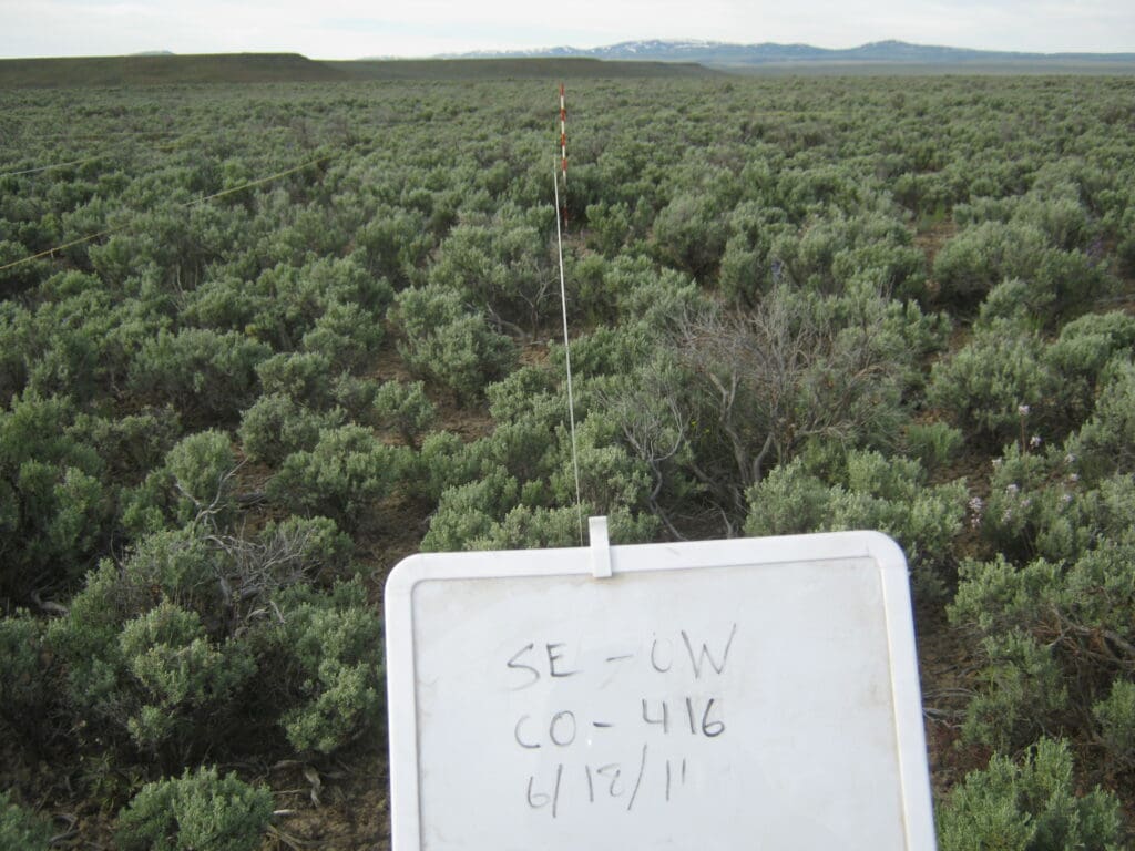 2011: 3 years post-treatment