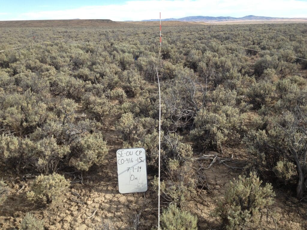 2014: 6 years post-treatment