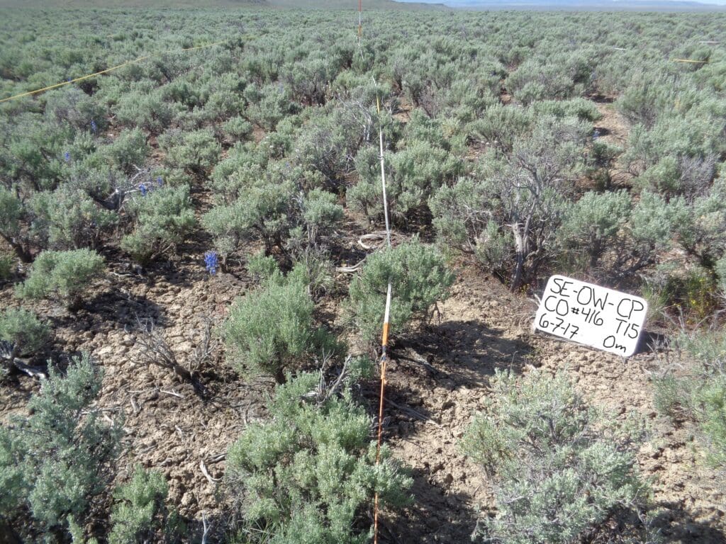 2017: 9 years post-treatment