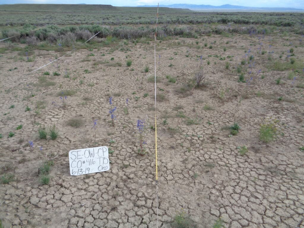 2019: 11 years post-treatment <br />
1 year post-wildfire