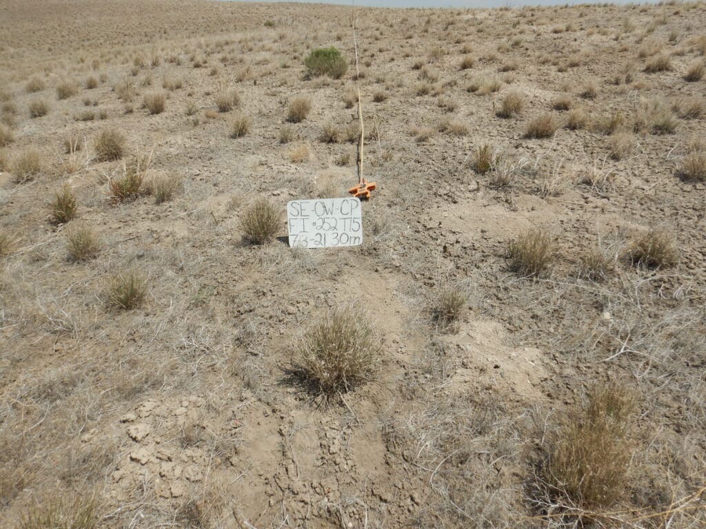 2021: 14 years post-treatment <br />
3 years post-wildfire