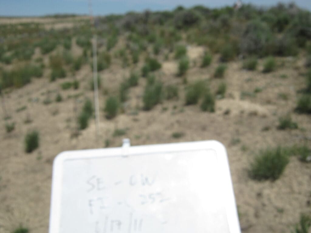 2011: 3 years post-treatment