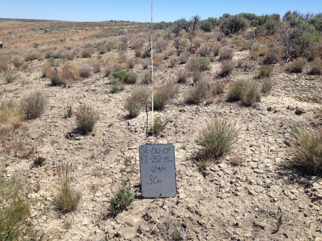 2014: 6 years post-treatment