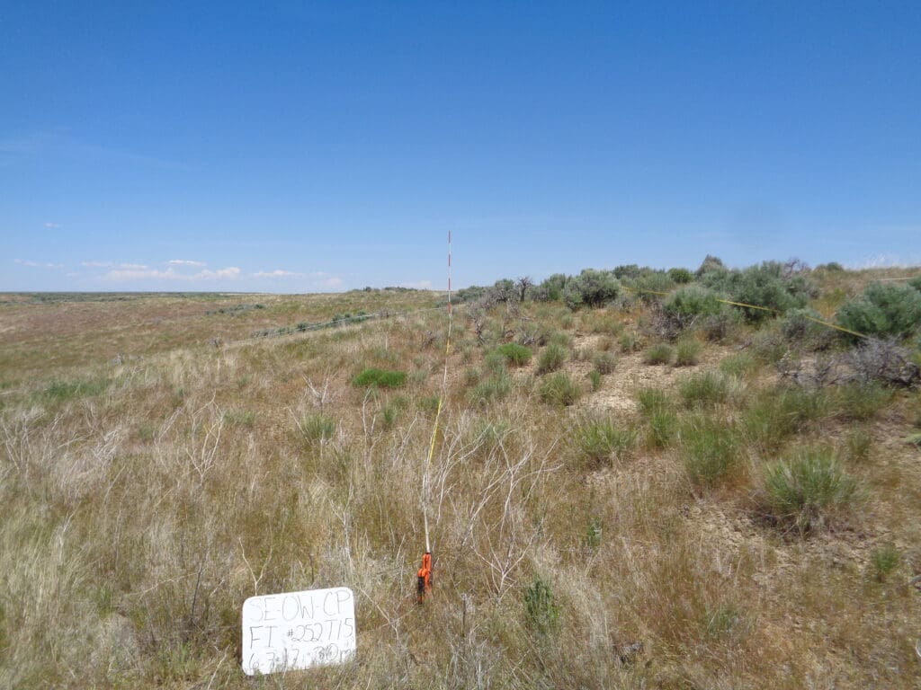 2017: 9 years post-treatment