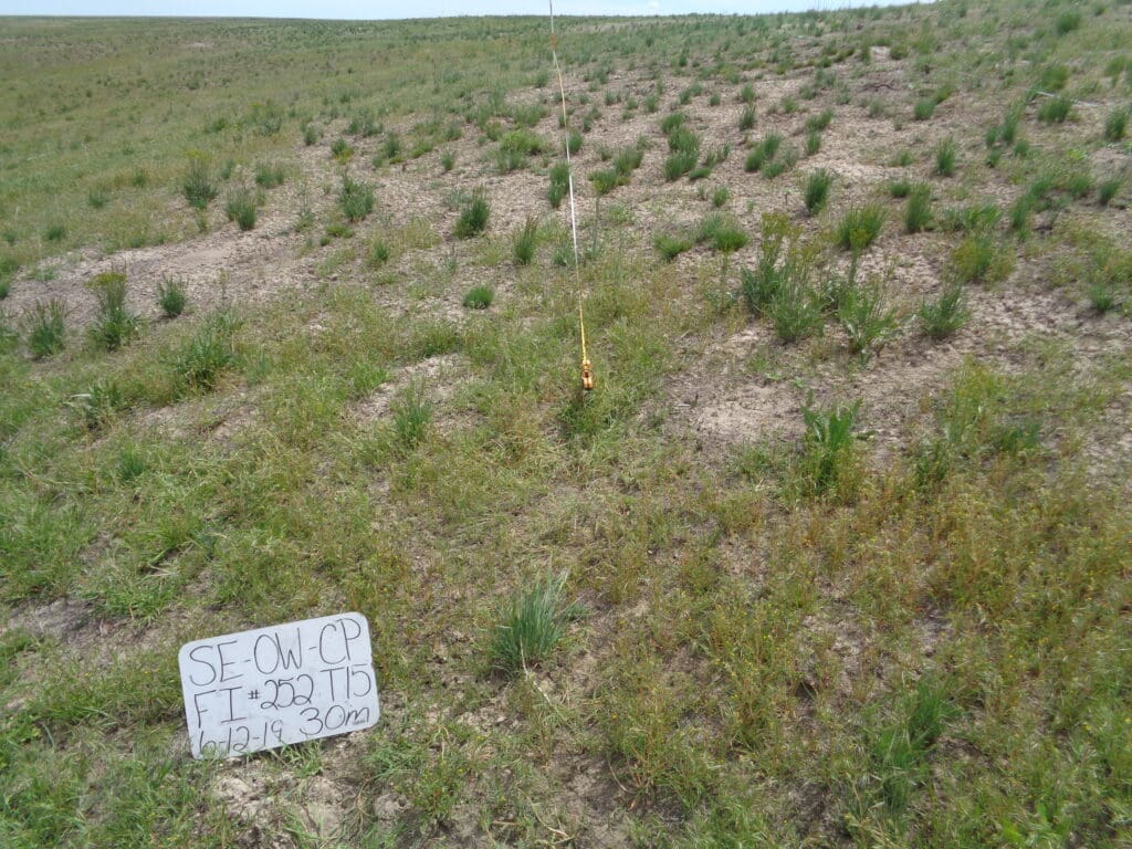 2019: 11 years post-treatment <br />
1 year post-wildfire