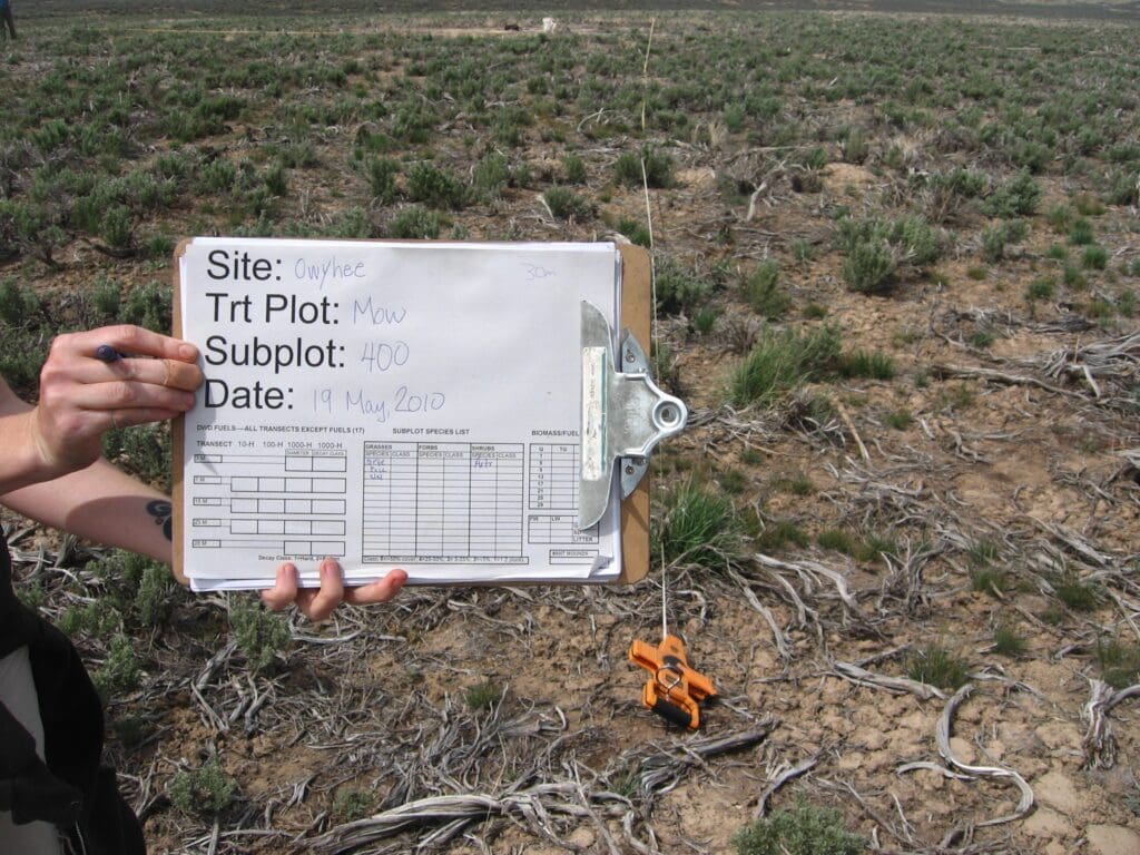 2010: 2 years post-treatment