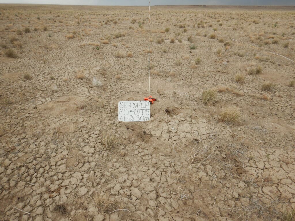 2021: 13 years post-treatment <br />
3 years post-wildfire