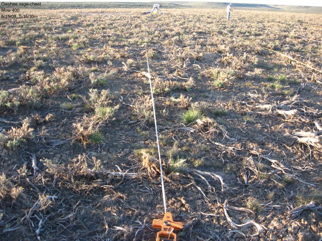 2009: 1 year post-treatment