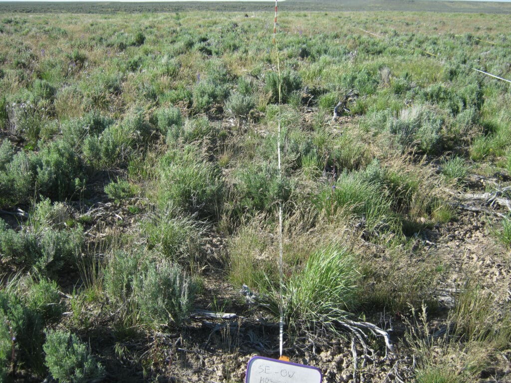 2011: 3 years post-treatment