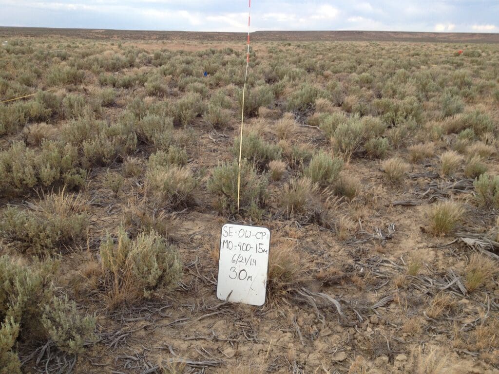 2014: 6 years post-treatment