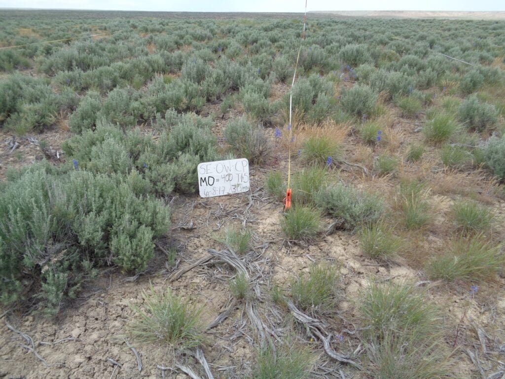 2017: 9 years post-treatment