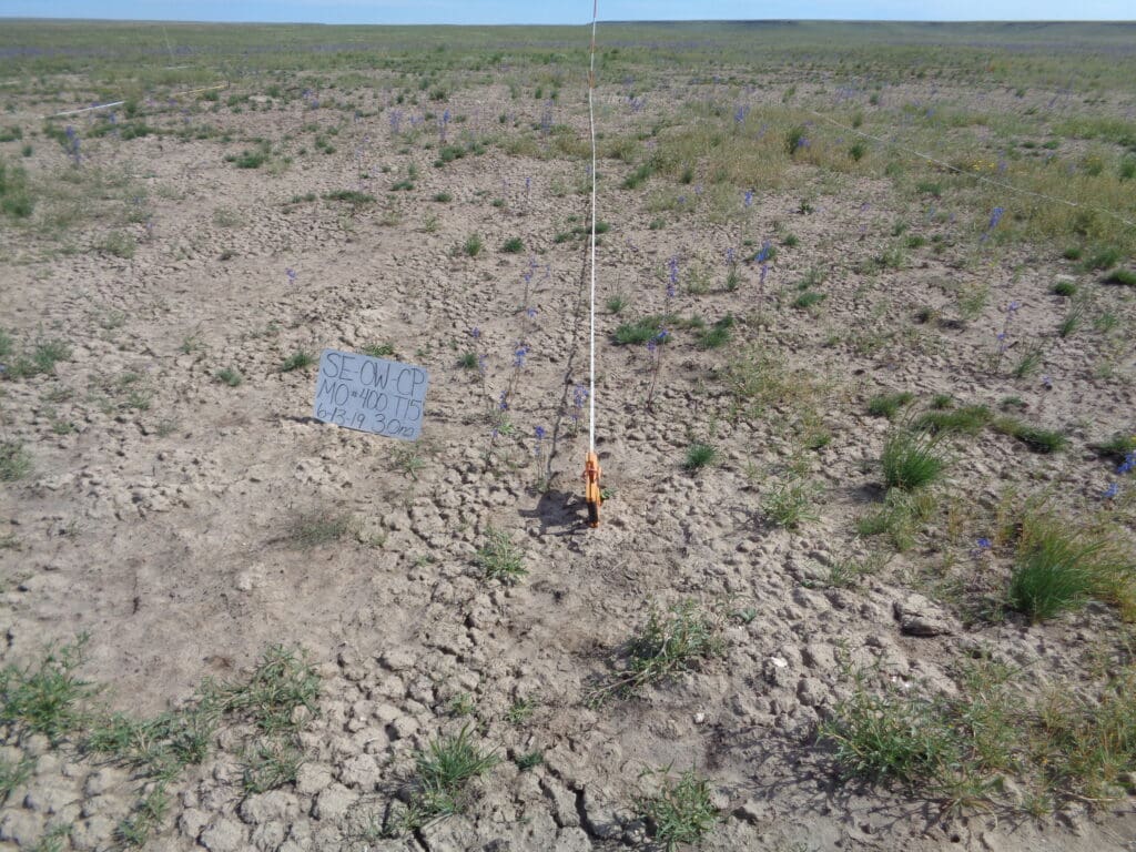 2019: 11 years post-treatment <br />
1 year post-wildfire