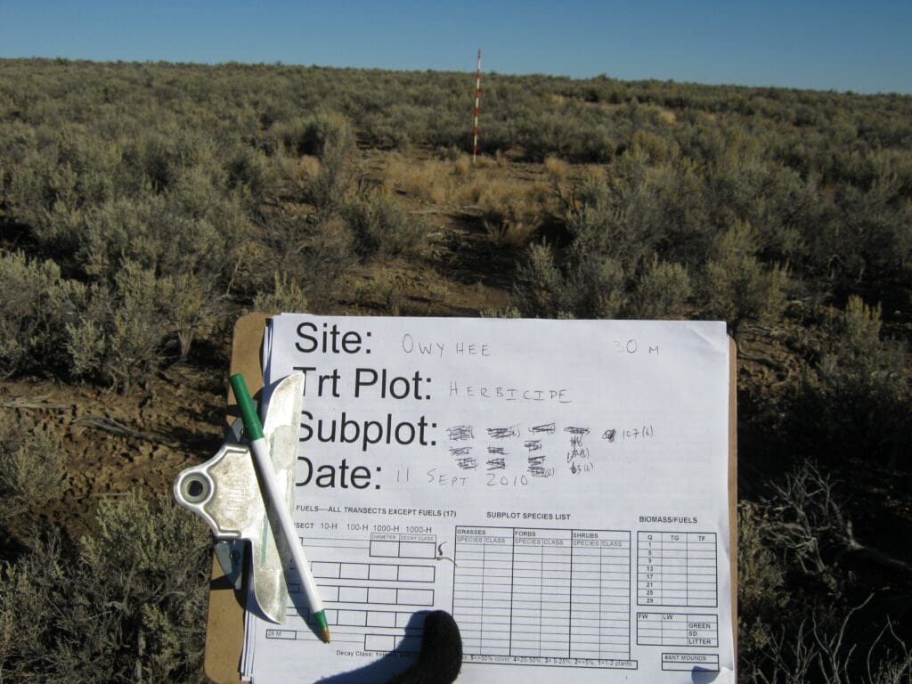 2010: 2 years post-treatment